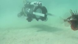 美国万花筒：水下机器人大战外来物种