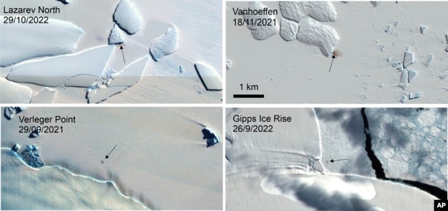 This combination of satellite images provided by the E.U.'s Copernicus program via the British Antarctic Survey in January 2024 shows four new emperor penguin colony sites in Antarctica. (Copernicus/British Antarctic Survey via AP)