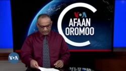 Tamsaasa Guyaadhaa Guyyaa