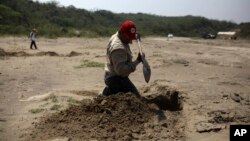 FILE - A volunteer searcher digs into the earth at a clandestine gravesite in Colinas de Santa Fe, in Mexico's Veracruz state, March 30, 2017. The Mexican government's human rights agency says tens of thousands of people have been recorded as missing across the country over the past two decades. And thousands have been reported found in clandestine graves during the drug war of the past 10 years.