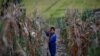 “북한 기아 수준 세계 12번째로 열악...주민 절반 영양부족” 