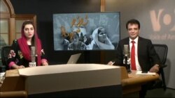 بي بي شیرینه – وي او اې ډيوه په ټیلې ویژن