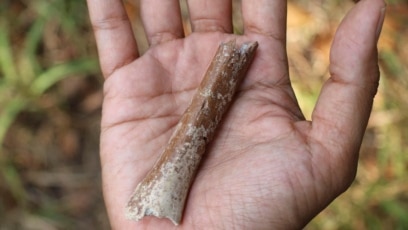 Researchers Discover Very Small Human Ancestors