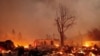 با گسترش آتش‌سوزی «دیکسی» فرمان تخلیه مناطق وسیعی از ایالت کالیفرنیا صادر شد