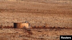 Seukur kanguru mencari air minum di sebuah lahan pertanian yang kering di Gunnedah, barat daya New South Wales, Australia (foto: ilustrasi). 