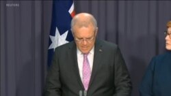 اخبار شامگاهی