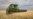 Few Winter Wheat Farmers Meet Planting Deadline