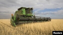 Huwandu hwegoho regorosi riri kukohwewa munyika huri kuramba huchiderera gore negore