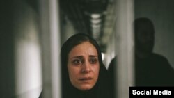 فیلم «قصیده گاو سفید»