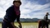 Thai farmers plants a rice crop near Mae Sariang, Thailand. Rice has been the food stable for Thai people for centuries and plays a crucial role in the essence of their culture, (File). 