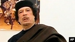 Mouammar Kadhafi, 2011
