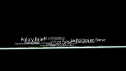 Policy Brief 222: Supporting Democracy’s Work 
