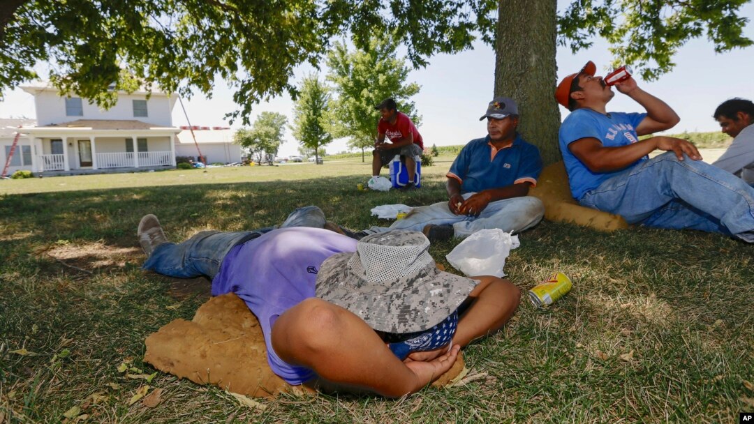 Roofers take their lunch break in the shade of a tree in rural Ashland, Nebraska, Aug. 27, 2013, as a late summer heat wave sends temperatures into the high 90s.