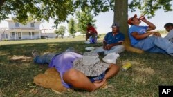 Roofers take their lunch break in the shade of a tree in rural Ashland, Nebraska, Aug. 27, 2013, as a late summer heat wave sends temperatures into the high 90s.