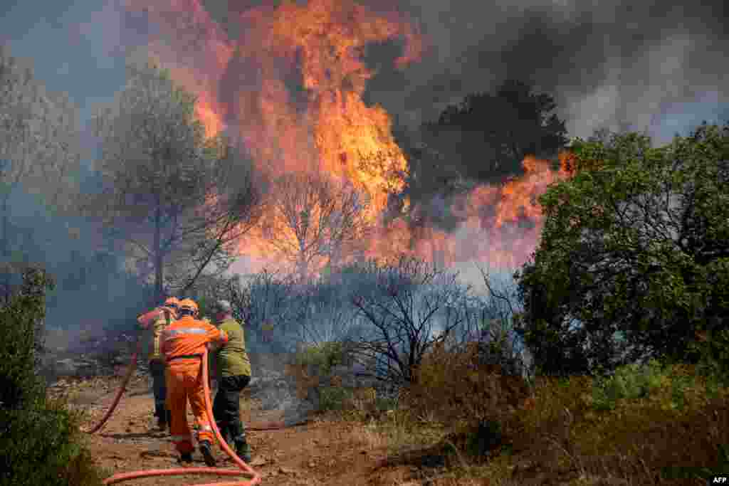 Firefighters extinguish a forest fire in Gonfaron, in the French department of Var, southern France.