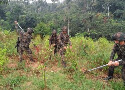 Se estima que en Colombia actualmente existen cerca de 160 mil hectáreas de cultivos ilícitos. Foto Cortesía Comando General Fuerzas Militares Colombia.