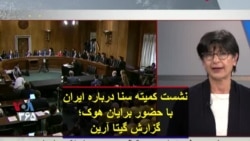 نشست کمیته سنا درباره ایران با حضور برایان هوک؛ گزارش گیتا آرین
