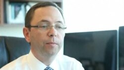 Panel solar orgánico