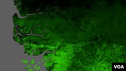  la Grande muraille verte (GMV), qui s'étend sur 535 km et dont les plantations ont commencé en 2008, est un projet panafricain, est destinée à stopper la désertification en Afrique.