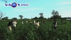 VOA60 Africa