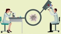 Նոր տեխնոլոգիաները գիտնականներին հնարավորություն են ընձեռում ուսումնասիրել մարդու օրգանիզմի բջիջներն այլ տեսանկյունից