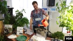 Cam MacKugler waters a seedsheet at the Food Loves Tech event in Brooklyn, Nov. 3, 2017. (T. Trinh/VOA)