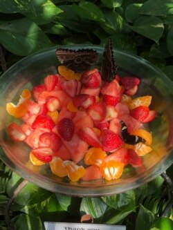 Butterflies feeding on nectar from mix fruit