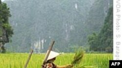 Tôi là người Việt Nam