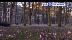 Manchetes Mundo 14 Março 2017: Holanda vai a eleições com extrema-direita bem colocada