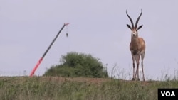 Affiche vidéo sur l'environnement du chemin de fer SGR au Kenya.