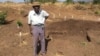 A villager showing part of his field that has been demined by Halo Trust in Mukumbura communal lands.