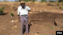 A villager showing part of his field that has been demined by Halo Trust in Mukumbura communal lands.