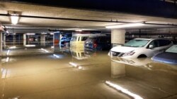 Ingxoxo Esiyenze loMnu. Busani Mbuso Ntini