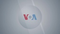 VOA Our Voices 209: 2020, Africa's New Decade