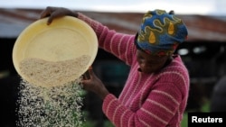 FILE—A woman works at a rice mill in Nigeria. 