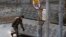 2015年12月24日中国当局关闭了北京通往三里屯使馆区的道路。