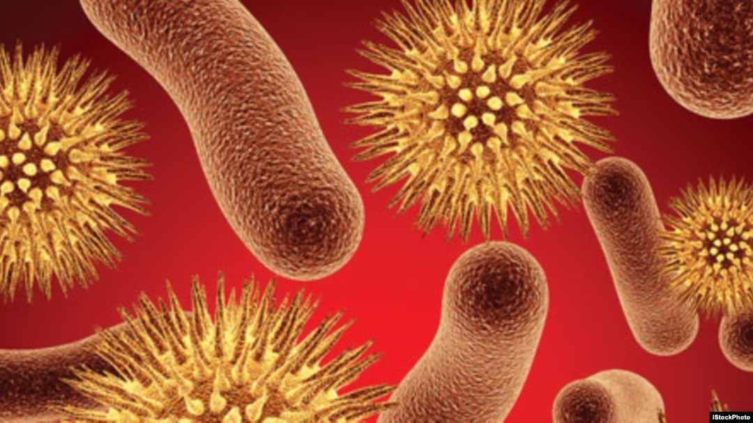 Bakterije rezistentne na antibiotike