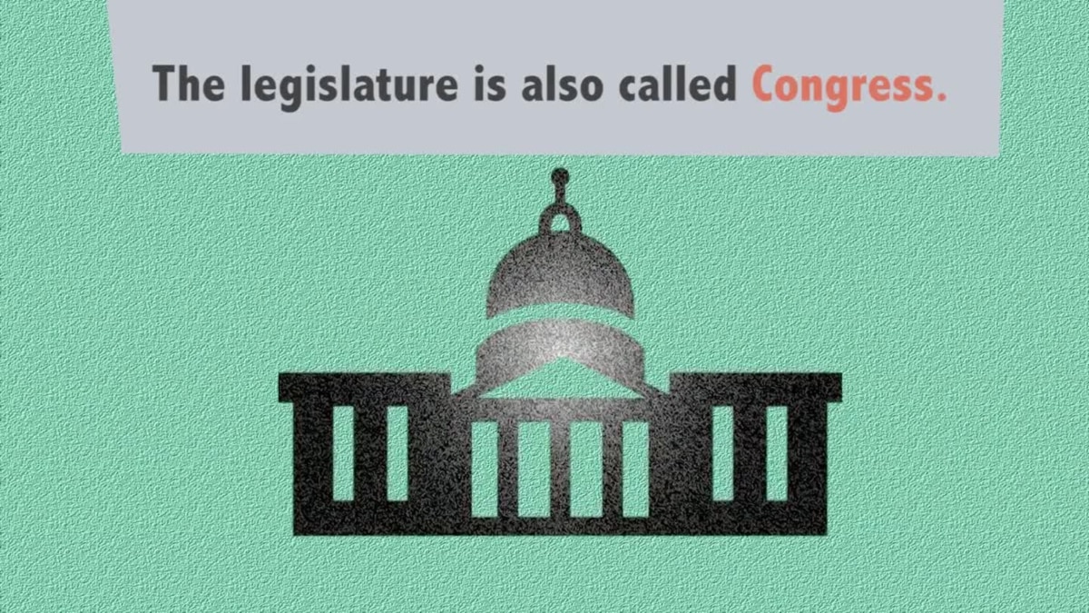 United States Congress Explained