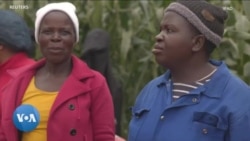  Face à la désertification, le FIDA plaide pour leur soutien des petits agriculteurs