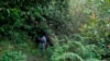 Godwin Vasanth Bosco, a naturalist and restoration practitioner, passes through native trees planted by him 10 years ago in Nilgiris district, India, Sept. 25, 2024.