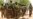 Nigeria Responds to Upsurge in Boko Haram Violence