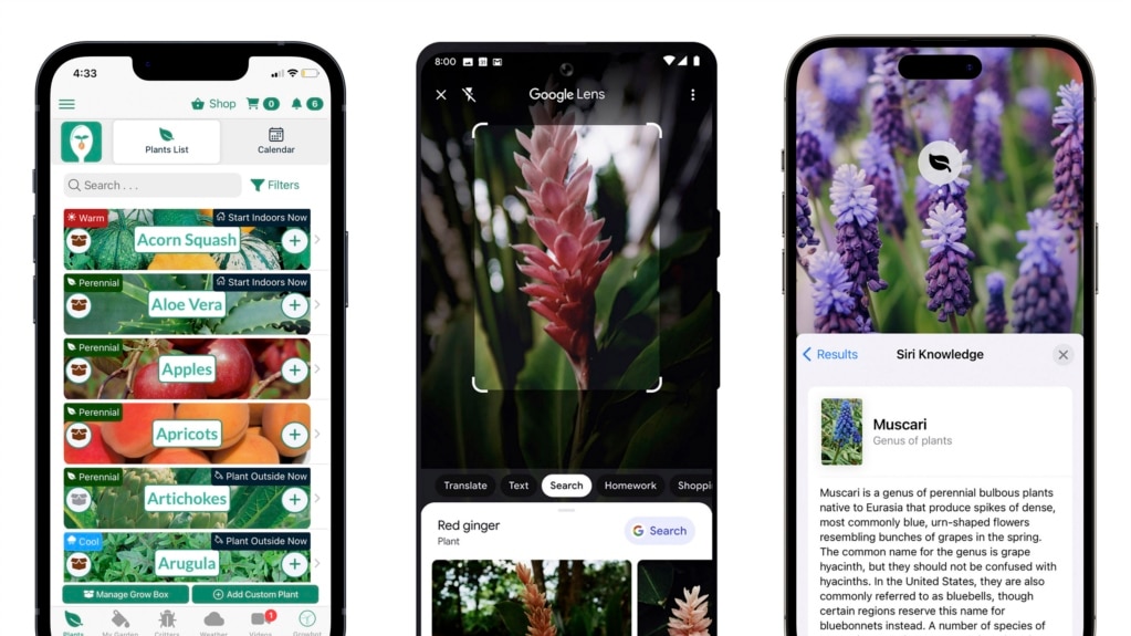 Five Apps for Helpful Gardening Information