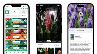 Five Apps for Helpful Gardening Information