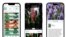 This combination of images show gardening apps, from left, the Seed to Spoon mobile gardening app, the Google Lens app, and Apple's AI-powered Visual Look Up feature to identify flowers. (Park Seed’s From Seed to Spoon/Google/Apple via AP)