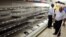 A worker checks empty shelves after removing processed meat products at a Pick n Pay Store in Johannesburg, South Africa, March 5, 2018, amid the country's worst listeria outbreak on record.