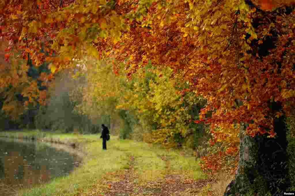 People fish in the canal as golden, green and rusty leaves are seen during the autumn in Thun-Leveque, France.