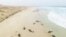 Des dauphins s'échouent mystérieusement sur une plage du Cap Vert