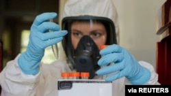 Seorang petugas laboratorium Institut Penelitian Epidemiologi dan Mikrobiologi Gamaleya saat melakukan pengujian vaksin Covid-19 di Moskow, Rusia, 6 Agustus 2020. (Dana Investasi Langsung Rusia / Handout via Reuters).