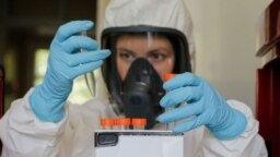 莫斯科加马利亚流行病学与微生物学研究所的科研人员测试新冠病毒疫苗。(2020年8月6日) 