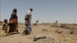 Famine Threatens Parts of Sub-Saharan Africa